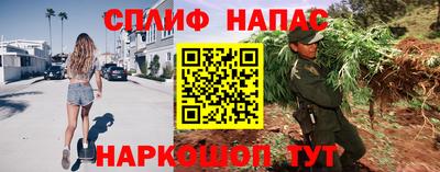 гидра Донецк