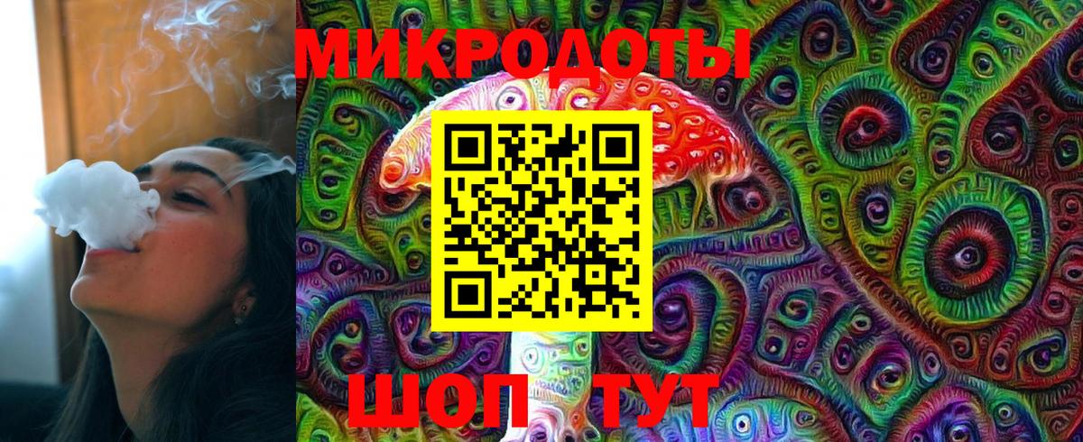 Псилоцибиновые грибы Psilocybe  Вход с VPN  Валуйки 